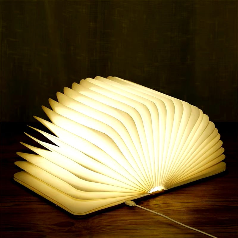 The Magic Light Book